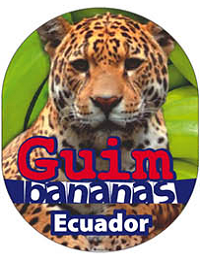 Logo Item