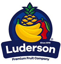 Logo Item